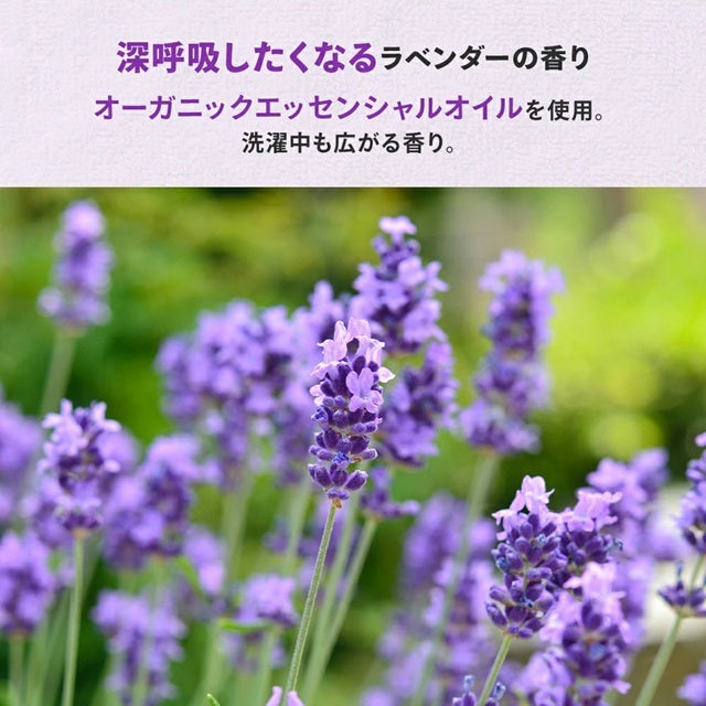 sonnet ナチュラルウォッシュリキッド【洗濯用液体洗剤】2L