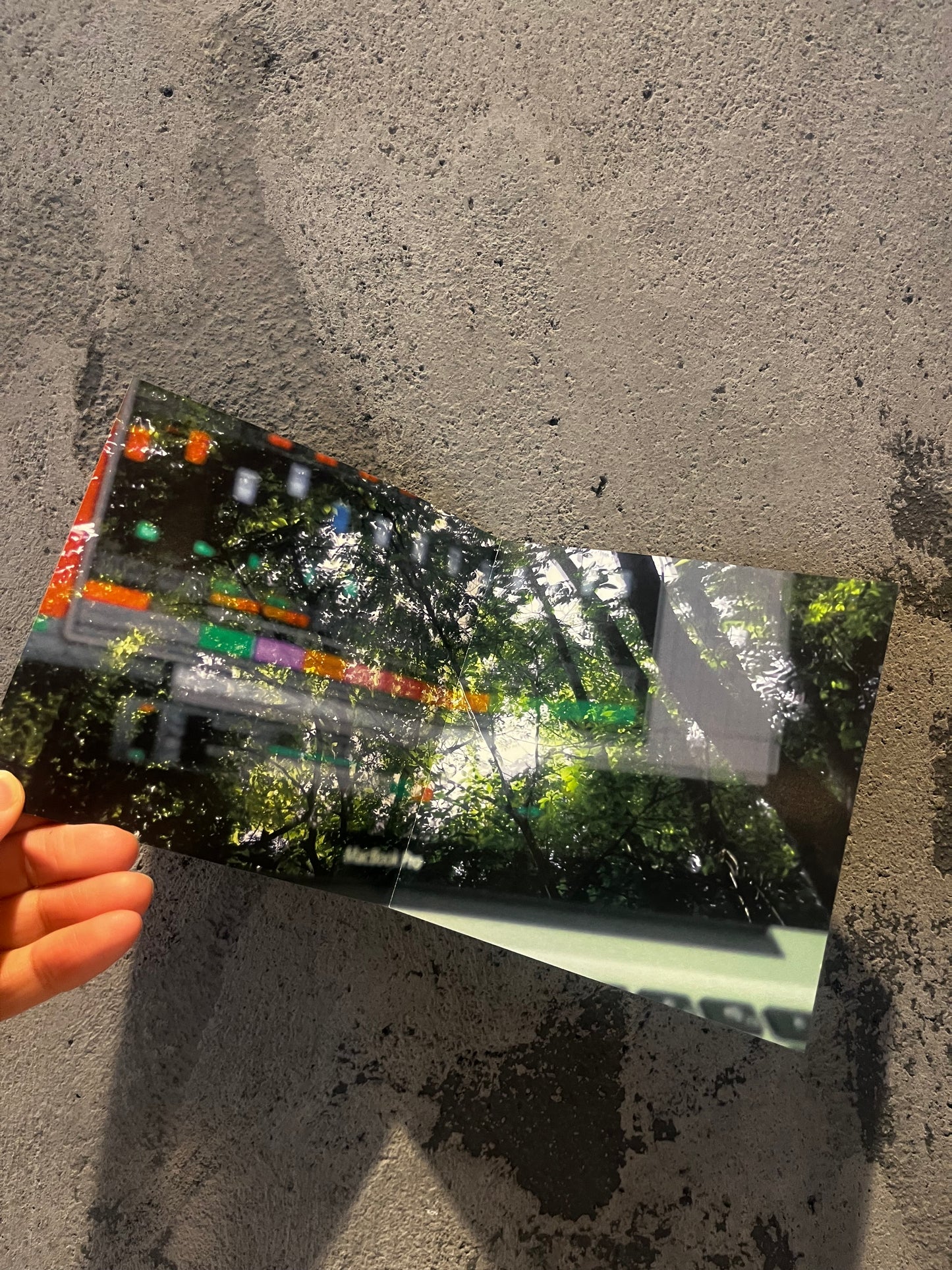 聖なる森 Mist Music CD