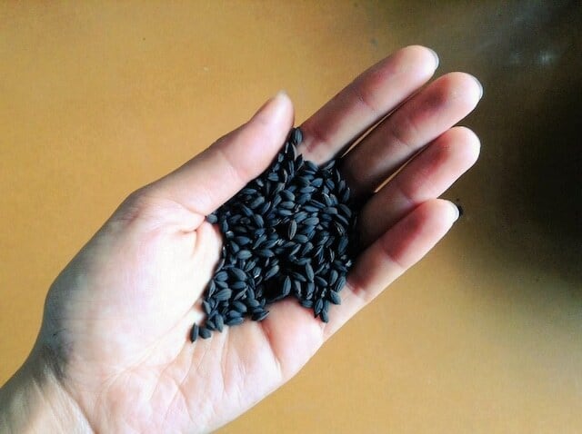 MIRATOAMI お米コーヒー Tパック6袋