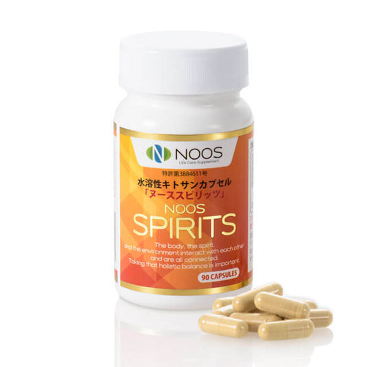 NOOS SPIRITS ヌーススピリッツ
