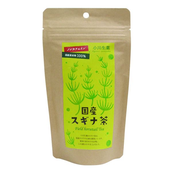 国産 スギナ茶