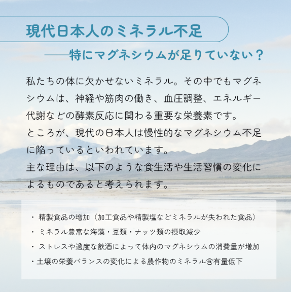 だいじょうぶなもの　マグネシウムバスサプリメント　バス　フレーク（浴用化粧料）1ｋｇ
