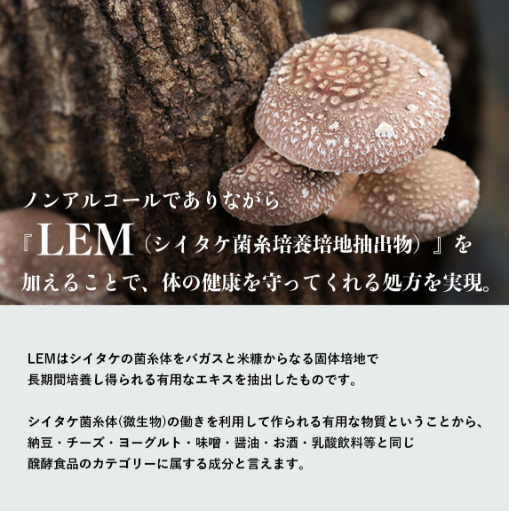 だいじょうぶなもの　マヌカ＆レザーウッドハニースプレー　グレープ味