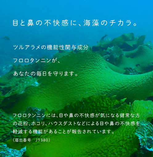 隠岐の西ノ島産　ツルアラメ　60カプセル（機能性食品）