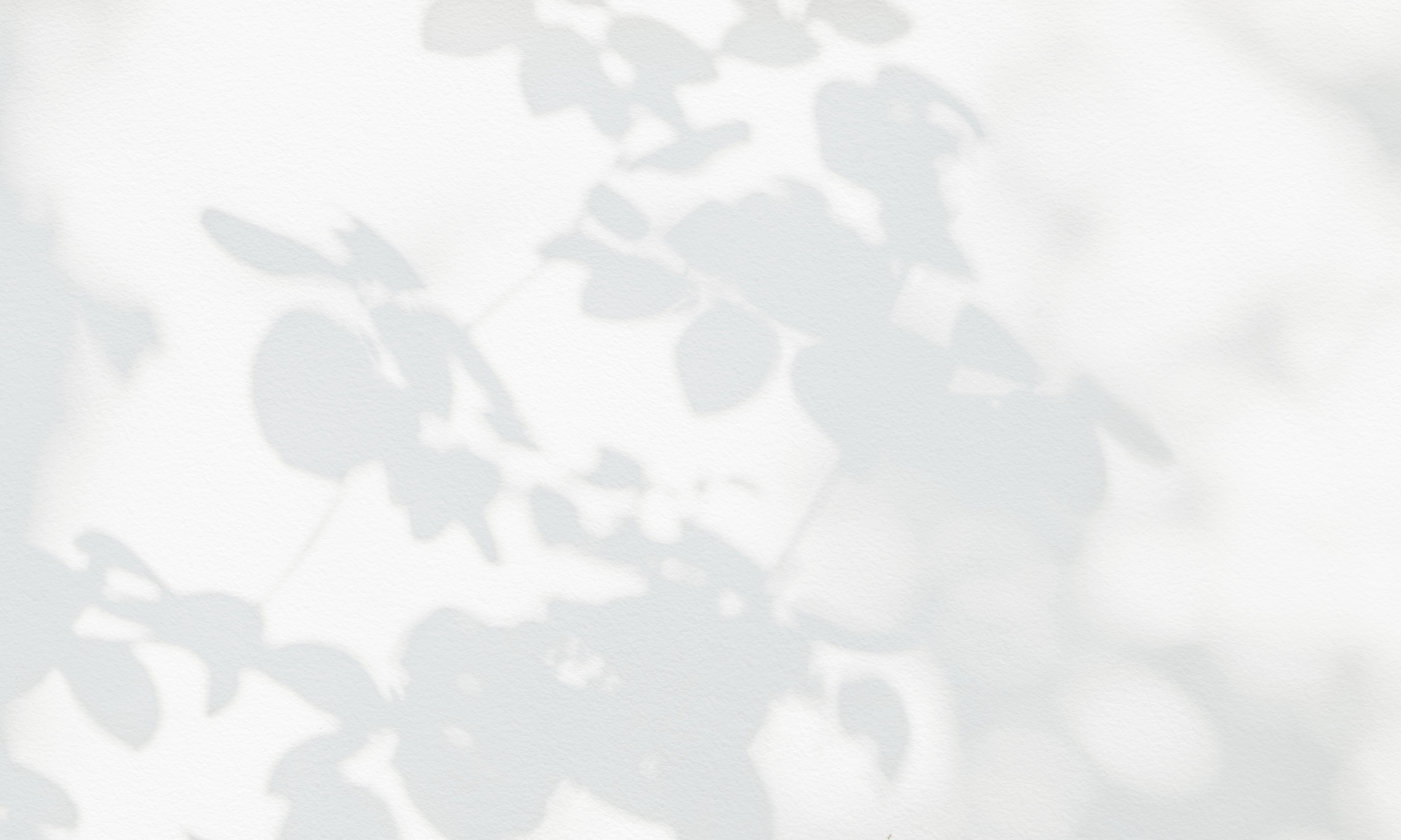 コンセプト背景