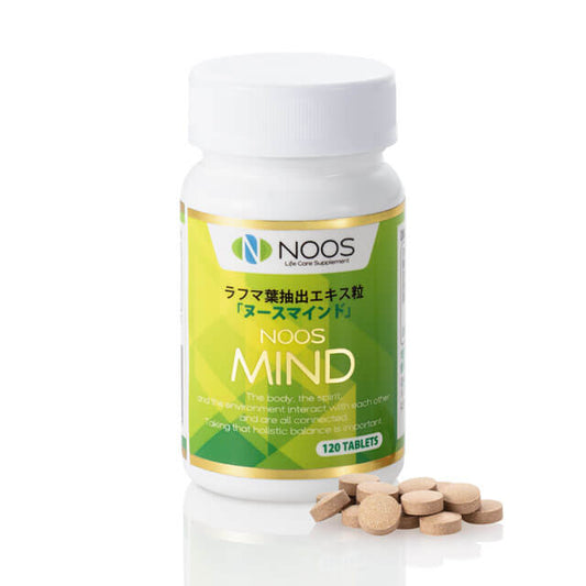 NOOS　MIND　ヌースマインド