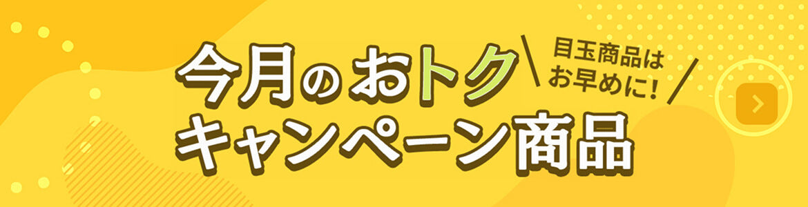 今月のお得キャンペーン商品